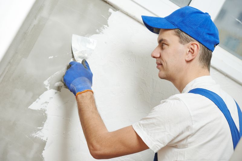 Plaster Service