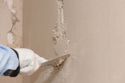 Plaster Service